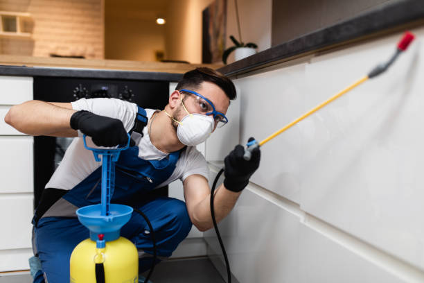 Best Best Pest Control Companies  in Black Creek, WI