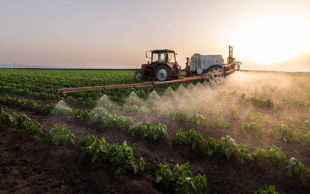 Trusted Black Creek, WI Pest Control Experts