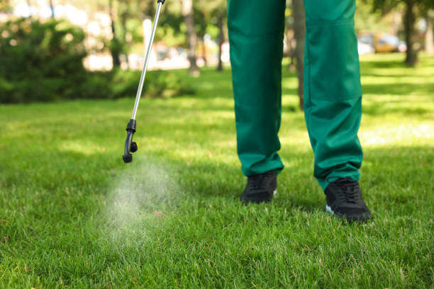 Best Termite Control Services  in Black Creek, WI