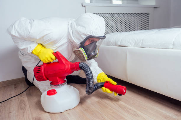 Best Insect Control  in Black Creek, WI