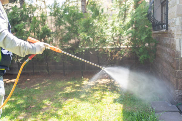 Best Affordable Pest Control Services  in Black Creek, WI