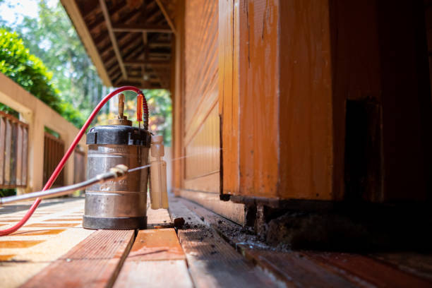 Best Pest Removal Services  in Black Creek, WI