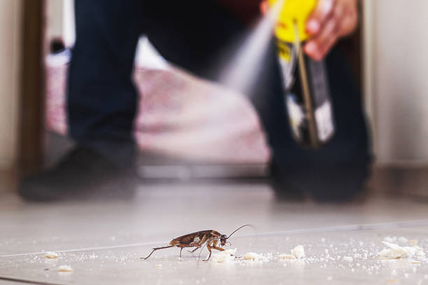 Best Cockroach Control Services  in Black Creek, WI