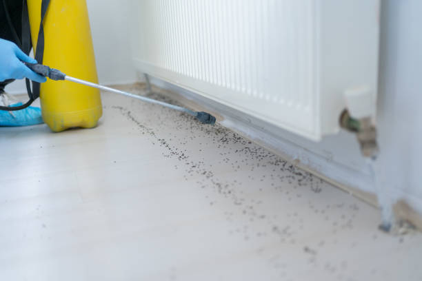 Best Commercial Pest Control Services  in Black Creek, WI