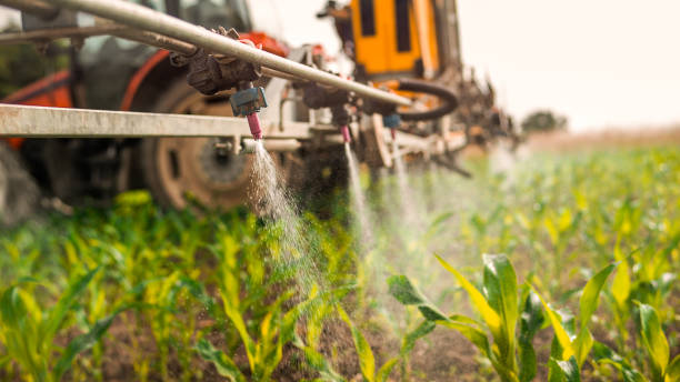 Best Ant Control Services  in Black Creek, WI